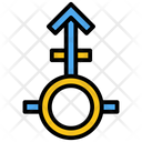 Male Sign Gender Male Person Sign Icon