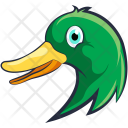Mallard Duck Icon