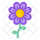 Mallow Flower Icon