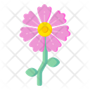 Mallow Flower Icon