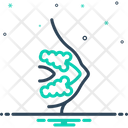 Mammary Gland Breast Female Icon