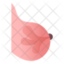 Mammary Glands Icon