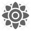Mandala Icon