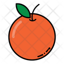 Mandarin Orange Icon