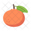 Mandarin orange Icon