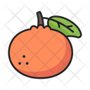 Mandarin orange Icon