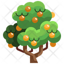 Mango Tree Icon
