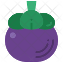 Mangosteen Tropical Exotic Icon