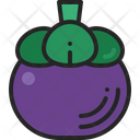 Mangosteen Tropical Exotic Icon