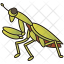 Mantis Icon