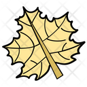 Maple Leaf Icon