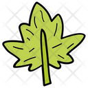 Maple Leaf Icon