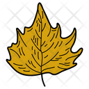 Maple Leaf Leaf Foliage Icon