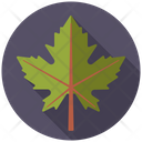 Maple Tree Nature Icon