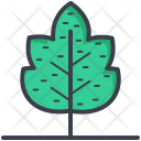 Maple Leaf Winter Icon