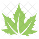 Autumn Maple Plant Icon