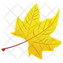 Maple Leaf Leaf Autumn Leaf Icon