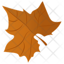 Maple Leaf  Icon