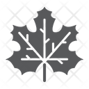 Maple Leaf Canada Icon