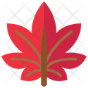 Maple Leaf Leaf Maple Icon