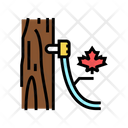 Maple Sap Icon