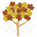 Maple Tree Icon