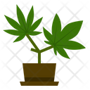 Marijuana Growing Icon