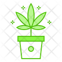 Marijuana Plant  Icon
