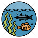 Marine Animals Icon