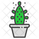 Maverick Cactus Succulent Icon