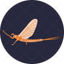 Mayfly Insect Bug Icon