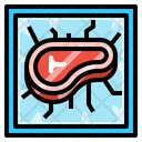 Meat Frozen Meat Vacuum Pack Icon