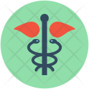 Medical Logo Star Icon