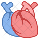 Medical Heart Body Icon