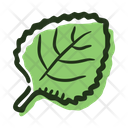 Melissa leaf  Icon