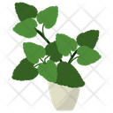 Melissa Potted Plant  Icon