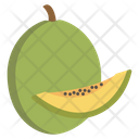 Melon Fruit Food Icon