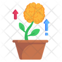 Mental Growth Icon