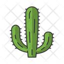 Mexican Giant Cactus Icon