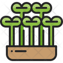 Microgreen Vegetable Growing Icon