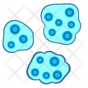 Microorganism Microbe Cells Icon