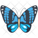 Tortoiseshell Wildlife Hexapod Icon