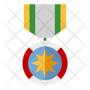 Military badge Icon