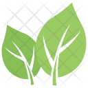 Milkweed Leaf Icon