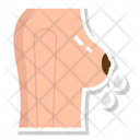 Milky Breasts Lactation Breastfeeding Icon