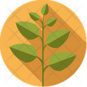 Mint Herb Leaves Icon