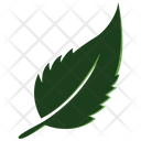 Mint Leaf Icon