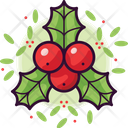 Holly Christmas Decoration Icon