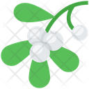 Mistletoe Icon