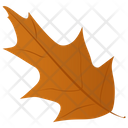 Mistletoe Leaf Icon
